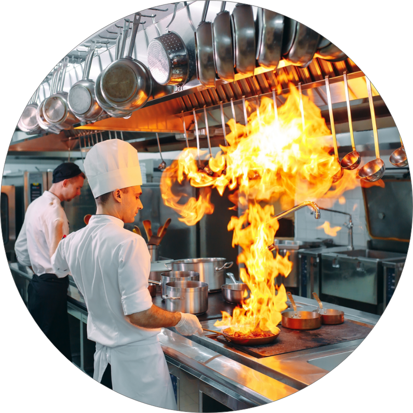 firexo extinguishers for kitchens